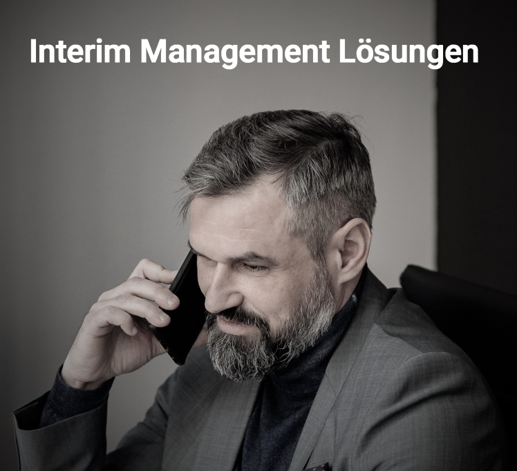 Vakanz-Überbrückung, Interim Manager, Interim Management