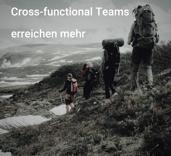 Funktionsübergreifende Teams: Erfolgreiche Problemlösung. Wie? Mit qualifizierten Cross-functional Teams zu neuen Ergebnissen. Neue Herangehensweisen fördern und effektive Prozessoptimierung erzielen.